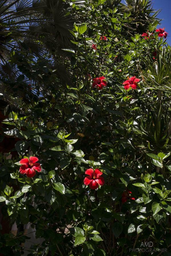 Los Flamingos Bed & Breakfast La Maddalena  Екстериор снимка